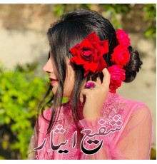 Shafi Esar - Sta Shaiste Stargi
