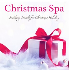 Shakuhachi Sakano & Spa Music Relaxation Meditation & Christmas Eve - Christmas Spa – Xmas Spa Soothing Sounds for Christmas Holiday in Luxury Spa Treatments & Wellness Center