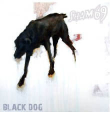 Sham 69 - Black Dog