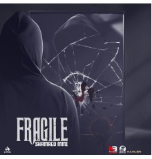 Shamred MMI - Fragile