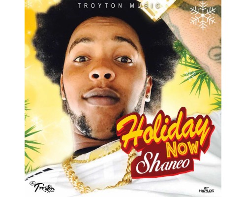 Shane O - Holiday Now