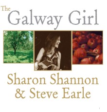 Sharon Shannon - Galway Girl