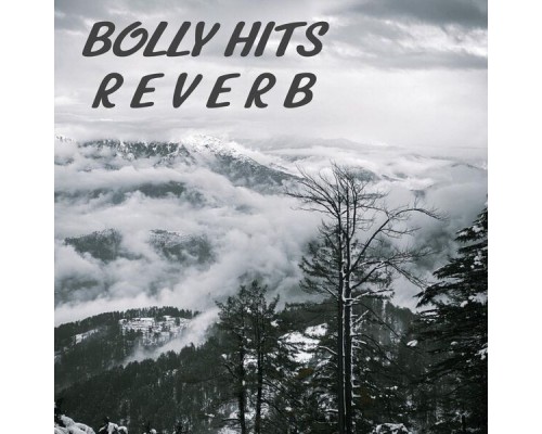 Shashi Ranjan - Bolly Hits Reverb