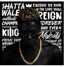 Shatta Wale - Reign