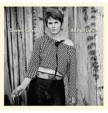 Shawn Colvin - All Fall Down