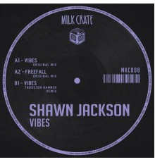 Shawn Jackson - Vibes