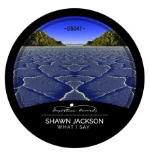 Shawn Jackson - What I Say