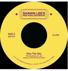 Shawn Lee - Kiss the Sky