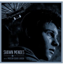 Shawn Mendes - Live At Madison Square Garden