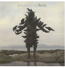 Shearwater - Rook