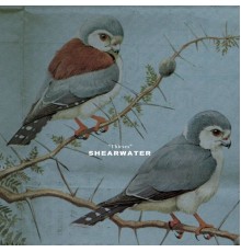 Shearwater - Thieves