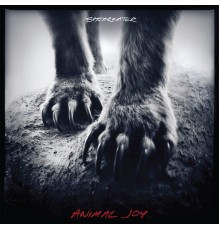 Shearwater - Animal Joy