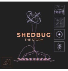 Shedbug - The Storm