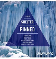 Shelter - Pinned