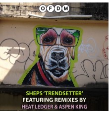 Sheps - Trendsetter