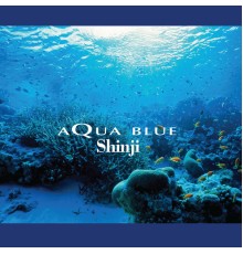 ShinJi - Aqua Blue