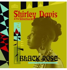 Shirley Davis - Black Rose