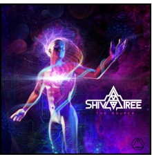 ShivaTree - The Source