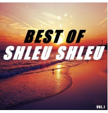 Shleu Shleu - Best of shleu shleu  (Vol.1)