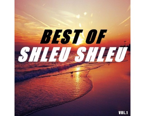 Shleu Shleu - Best of shleu shleu  (Vol.1)