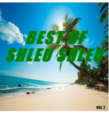 Shleu Shleu - Best of shleu shleu  (Vol.2)
