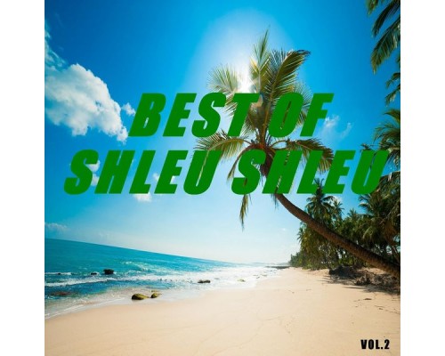 Shleu Shleu - Best of shleu shleu  (Vol.2)