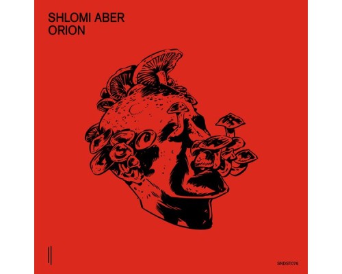 Shlomi Aber - Orion