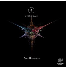 Shogo Buzz - True Directions