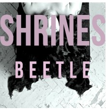 Shrines - Beetle