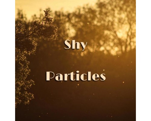 Shy - Particles