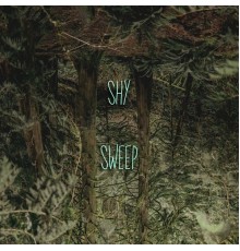 Shy - Sweep