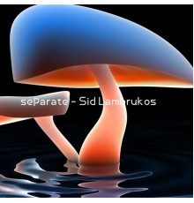 Sid Lambrukos - separate