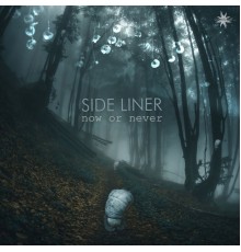 Side Liner - Now or Never