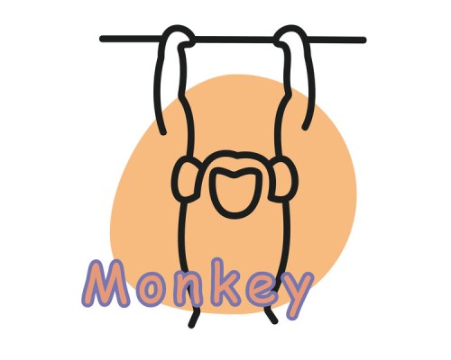 Sidney - Monkey