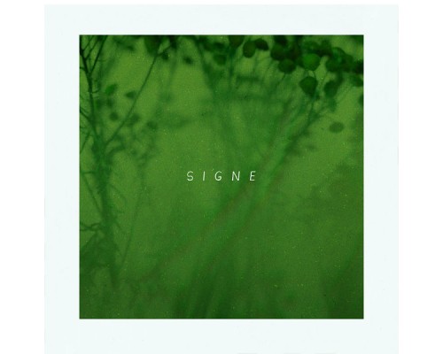 Signe - Signe