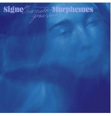 Signe - Morphemes