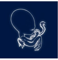 Sigur Ros  - Ágætis byrjun