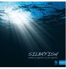 Silbrfish - Unknown Depths Of Perception