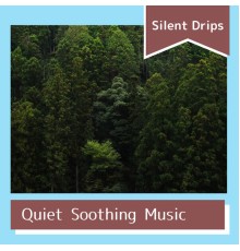 Silent Drips - Quiet Soothing Music