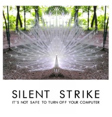 Silent Strike - It's Not Safe to Turn off Your Computer