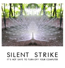 Silent Strike - It's Not Safe to Turn off Your Computer