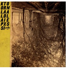 Silver Mt. Zion - Kollaps Tradixionales