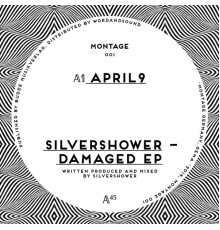 Silvershower - Damaged EP