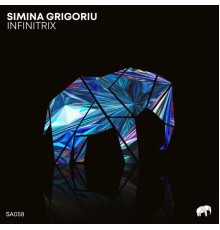 Simina Grigoriu - Infinitrix