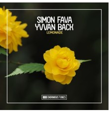 Simon Fava & Yvvan Back - Lemonade