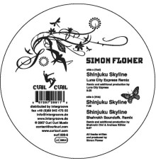 Simon Flower - Shinjuku Skyline