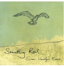 Simon Llewelyn Evans - Something Real