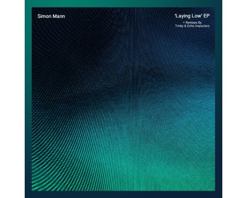 Simon Mann - Laying Low