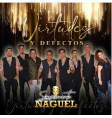 Simplemente Naguel - Virtudes y Defectos