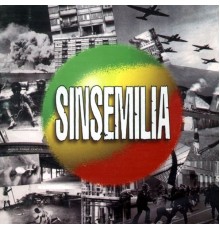 Sinsemilia - Première récolte